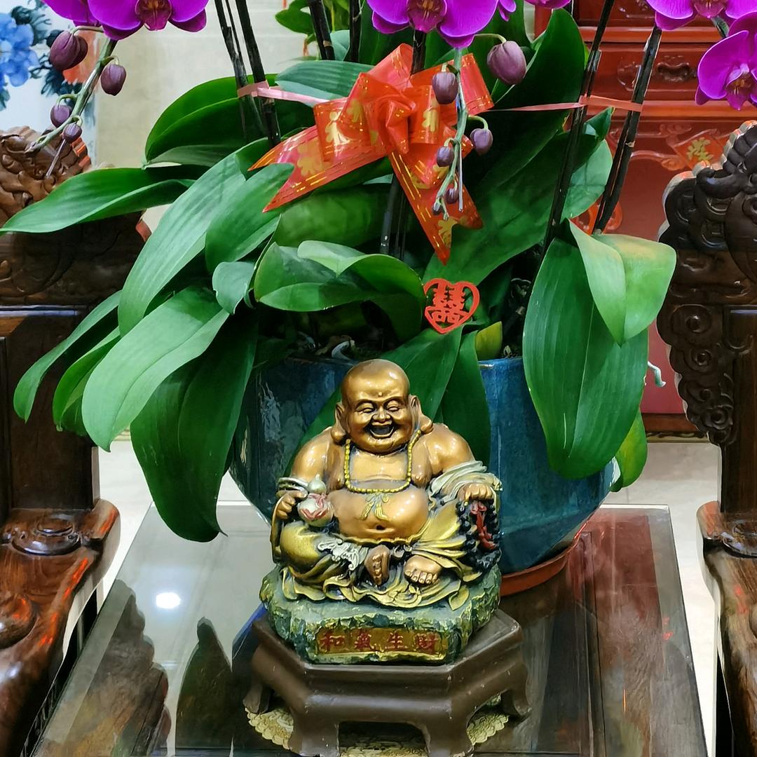 创一燕鲍翅海味商行（阿璇）