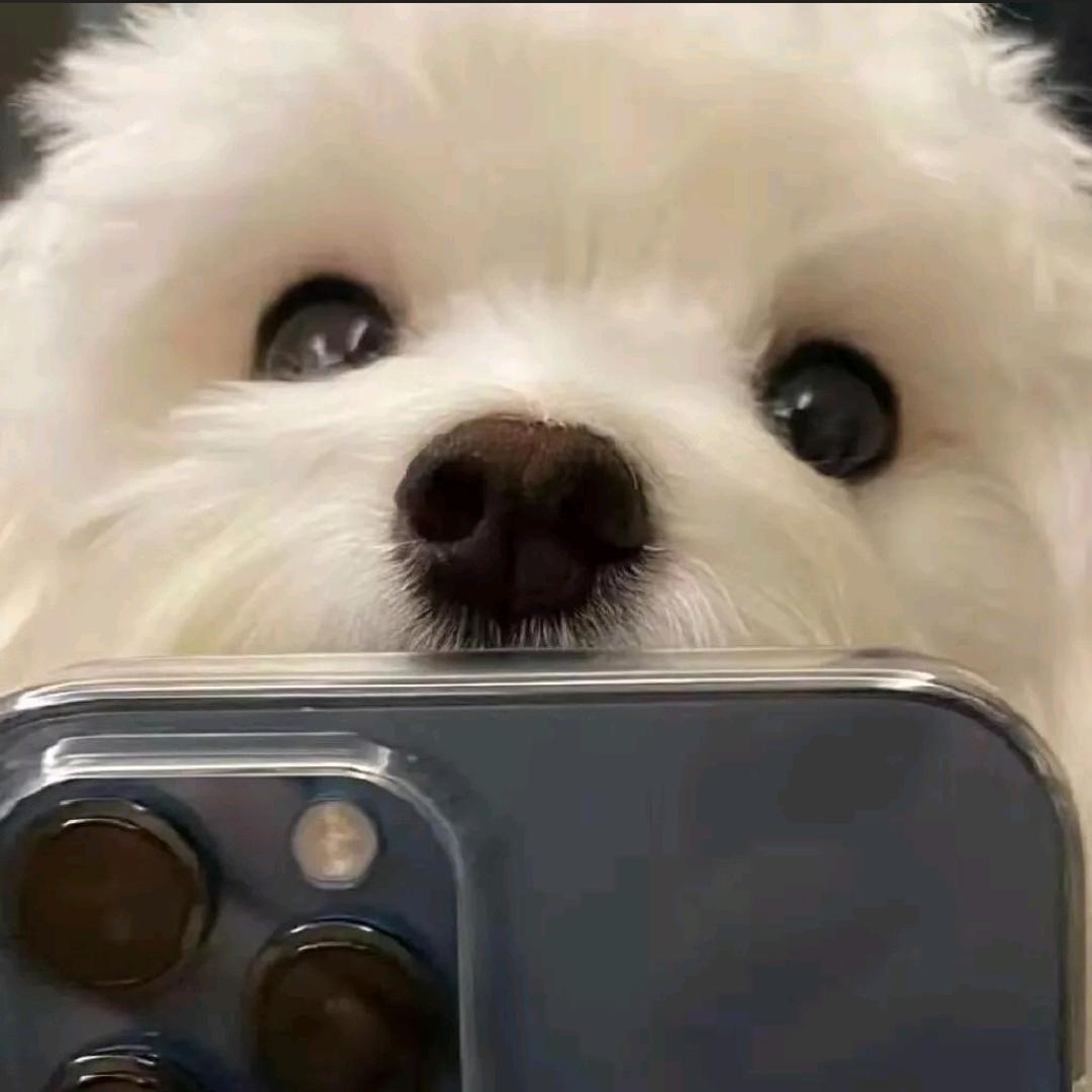 心软的神