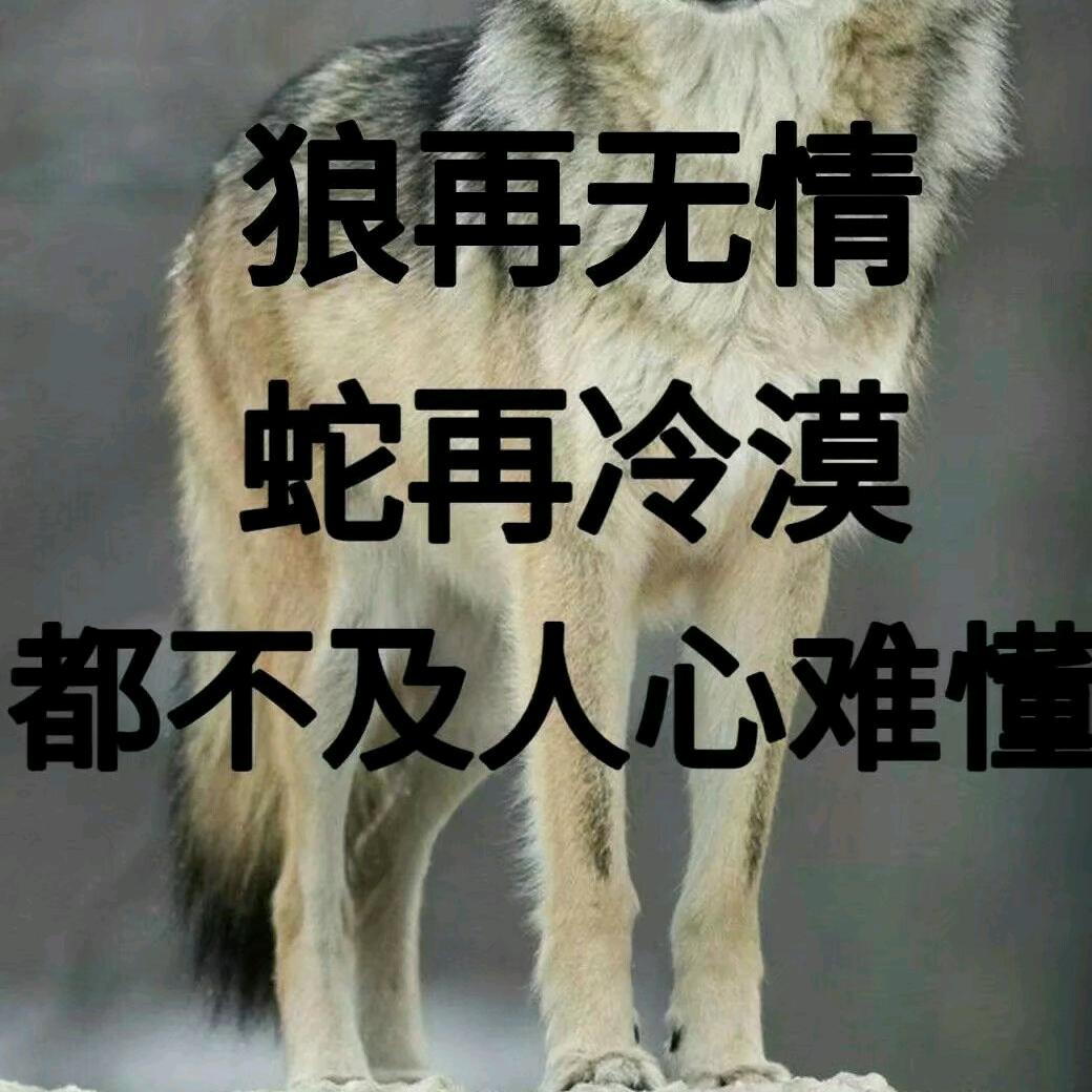 三生石上的兰花