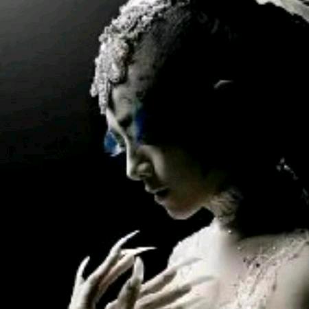 叶子，(有赞必回）