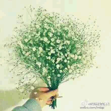会化妆的李姐（有关必回）