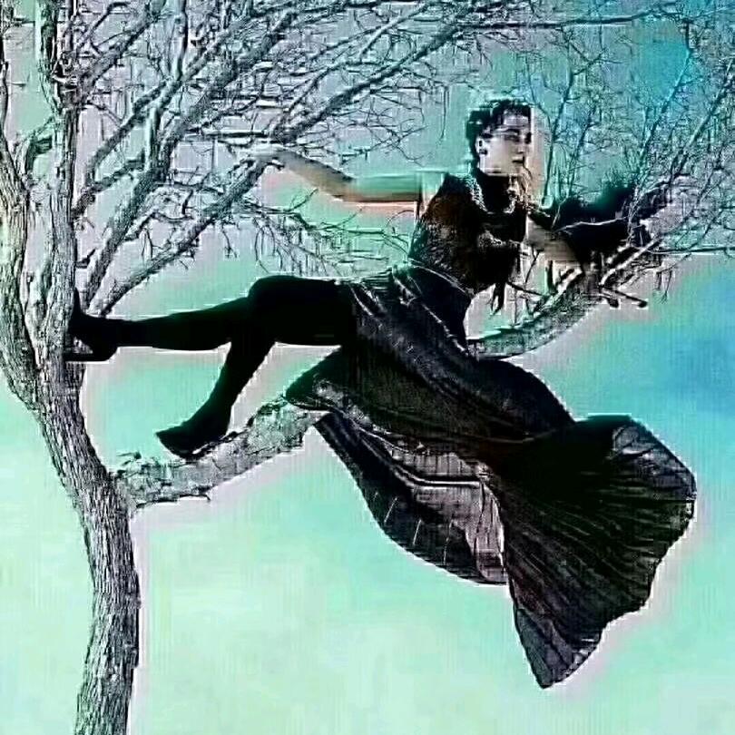 wangli