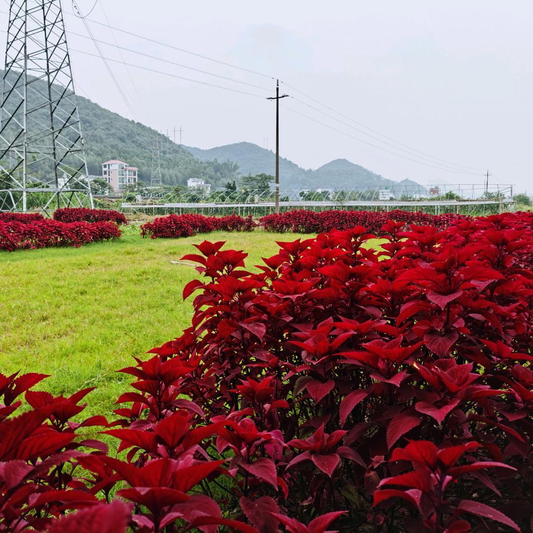 光辉岁月☀️