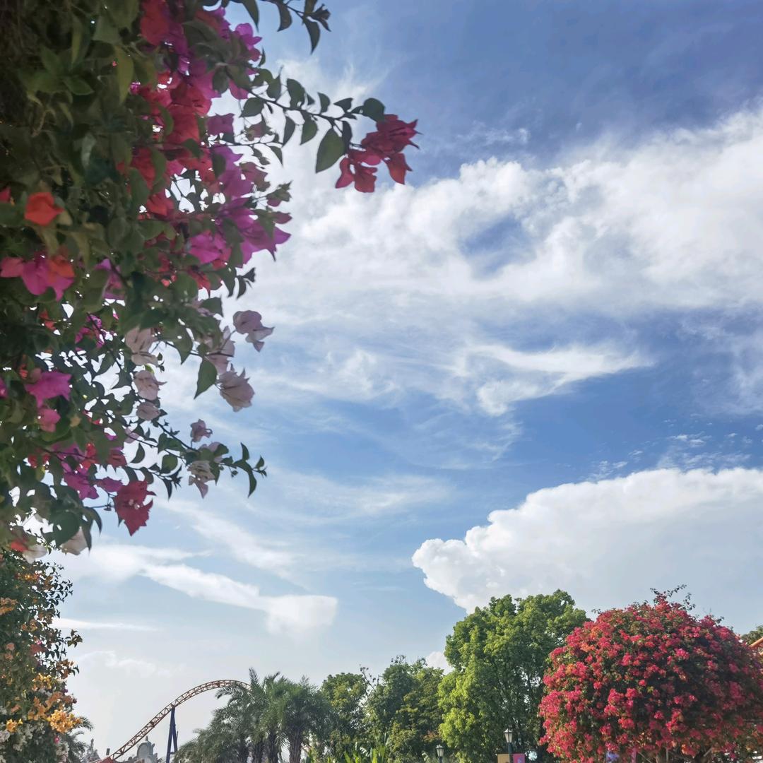 天高云淡歌声悠扬