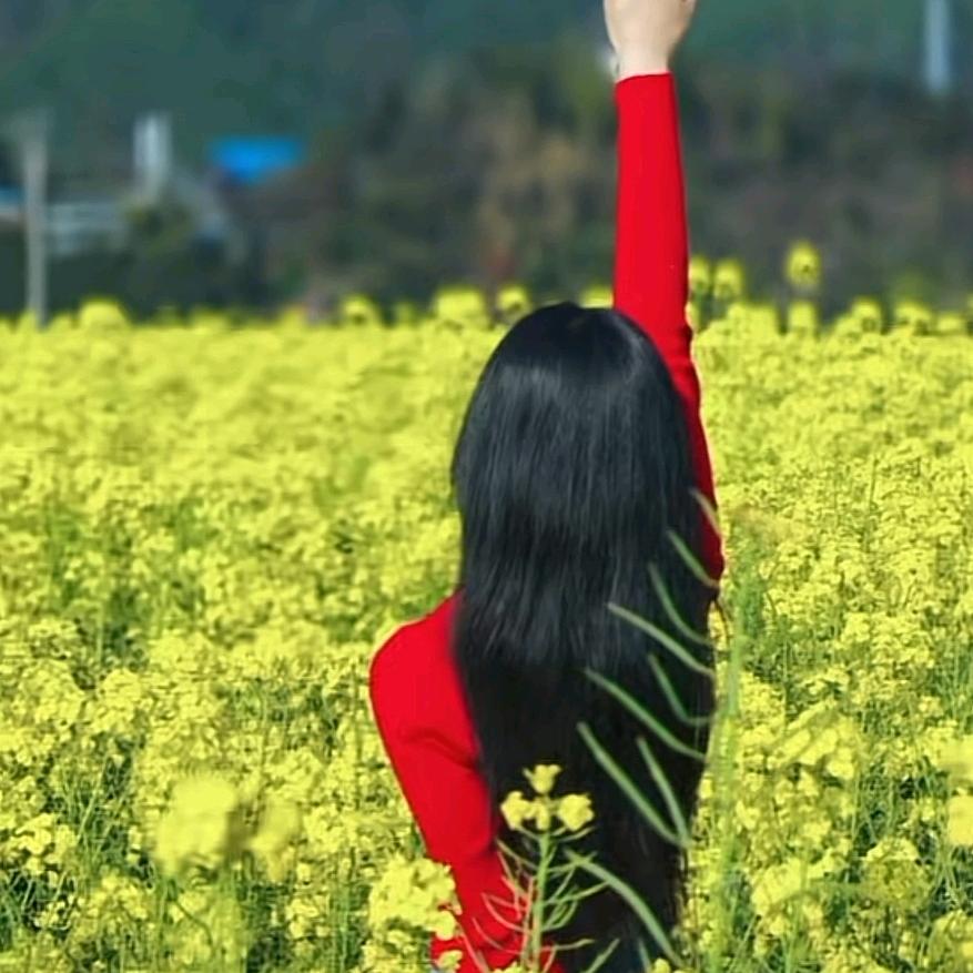 心向☀️阳光