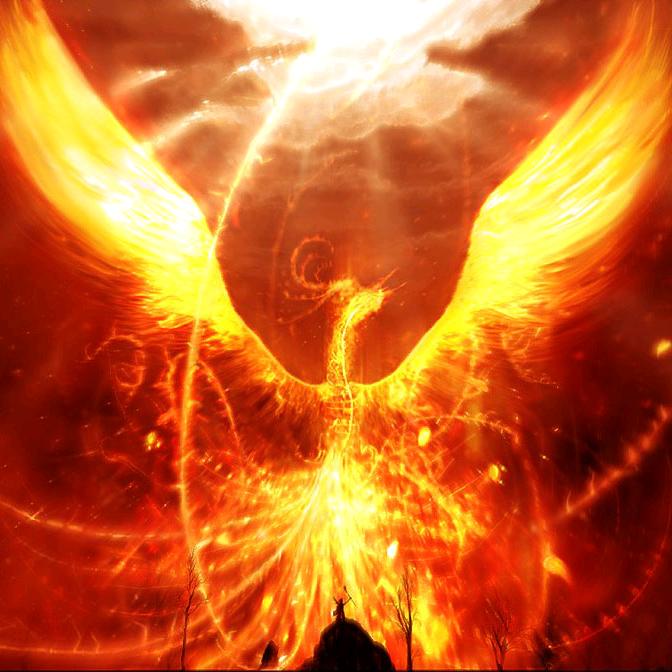 搬砖种股收平安