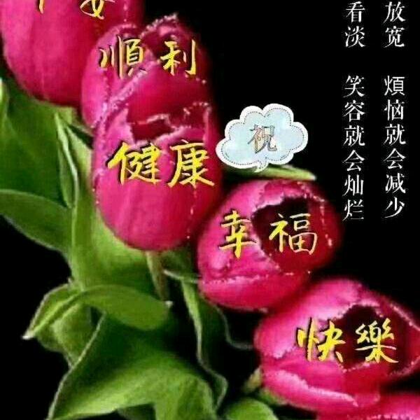 友谊地久天长