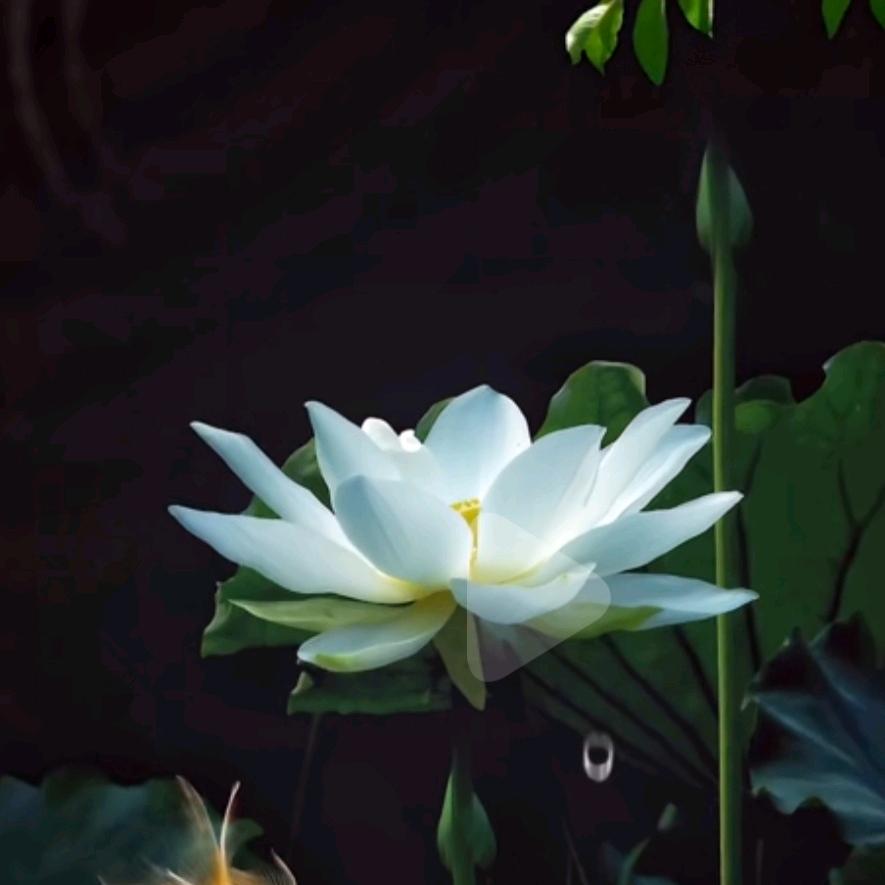 季节