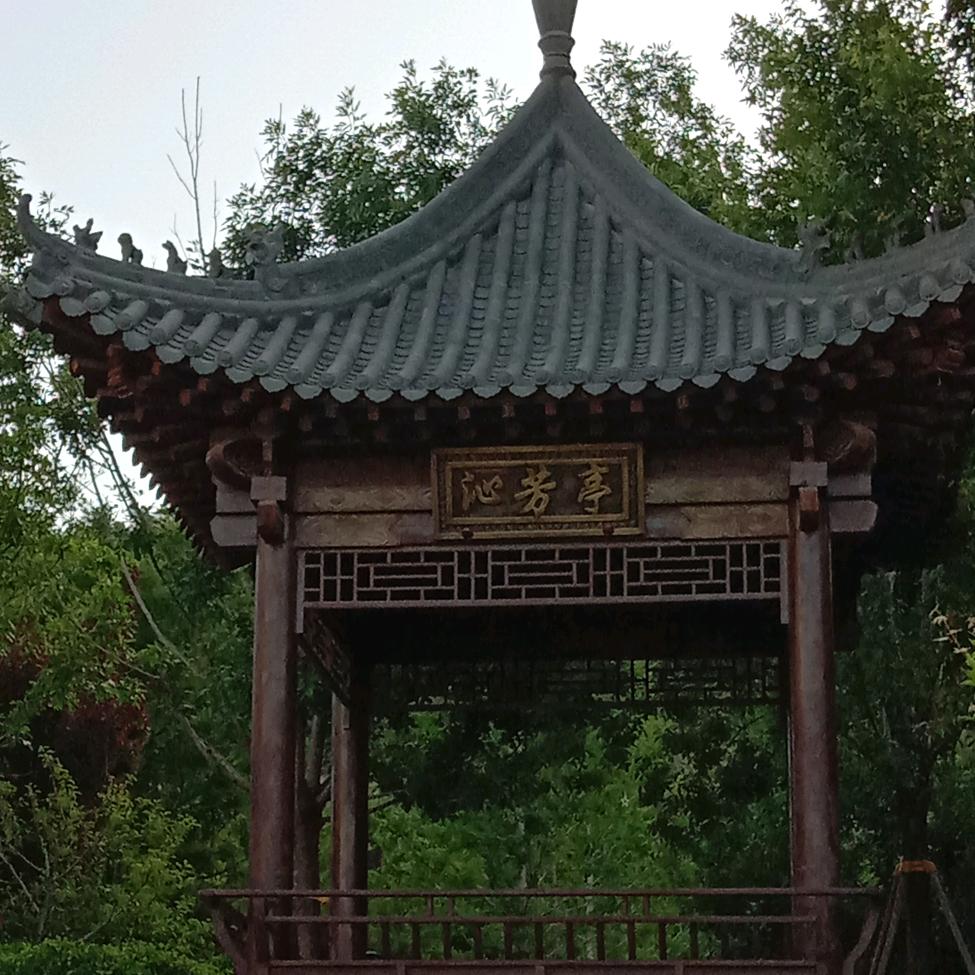 用户8528632884204