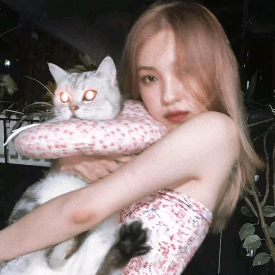 Kitty🐟