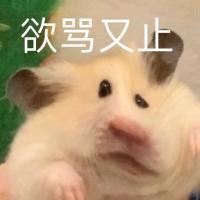 悲伤的烤冷面^