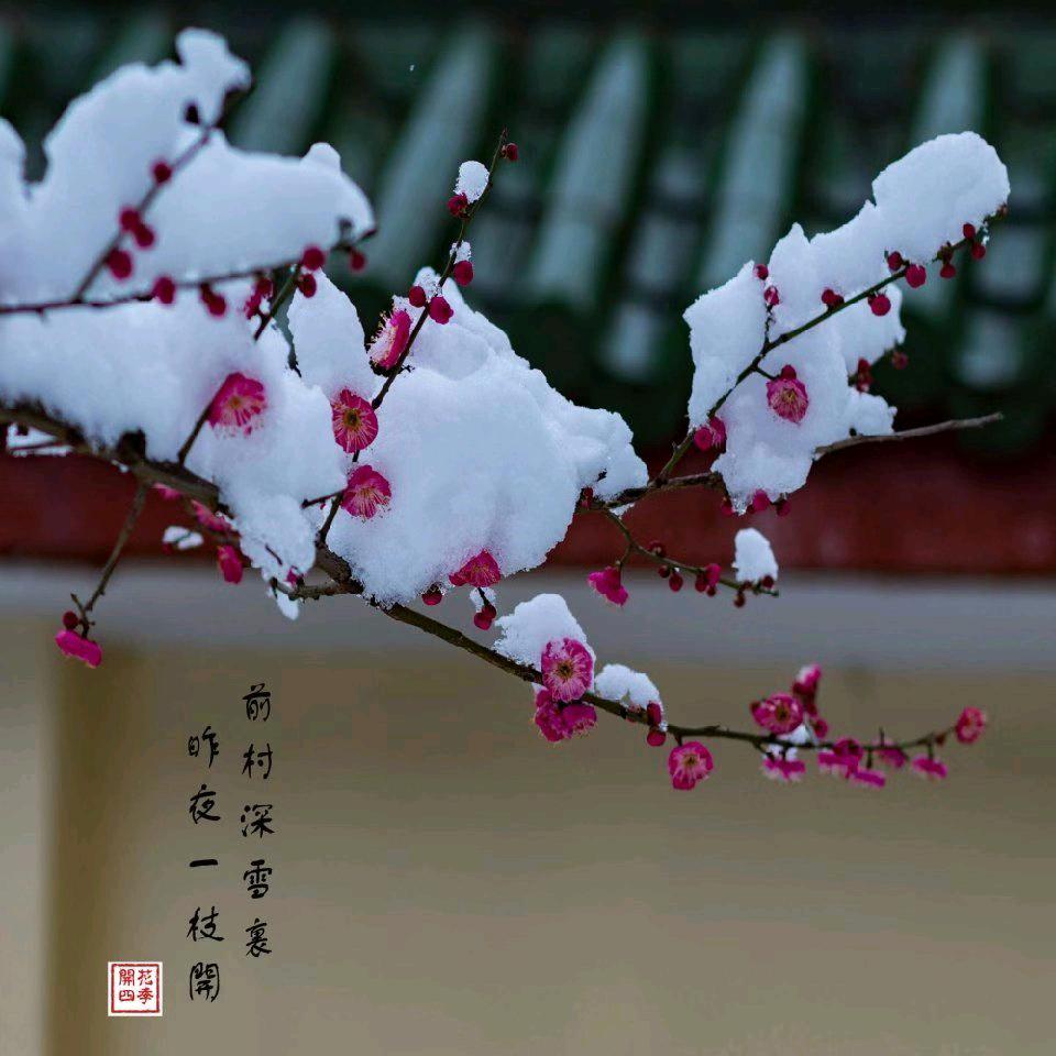 人生的难关，一关接一关