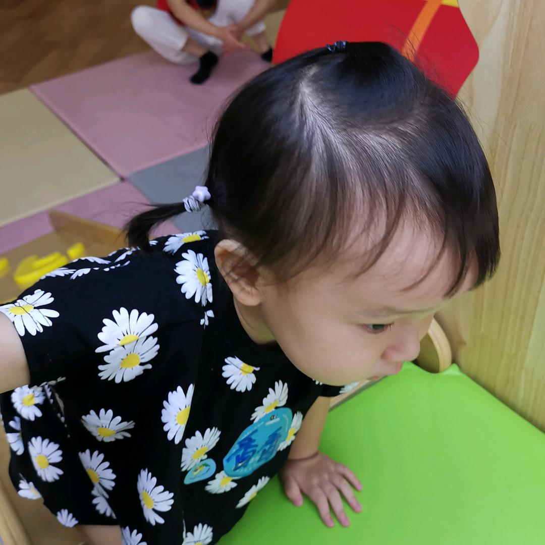 鱼香馆日记