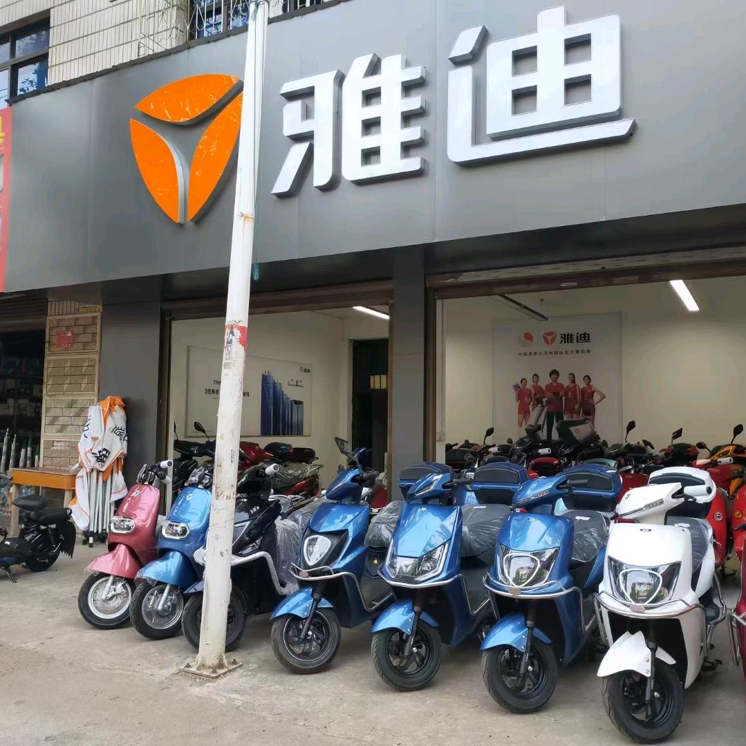 集兵雅迪电动车