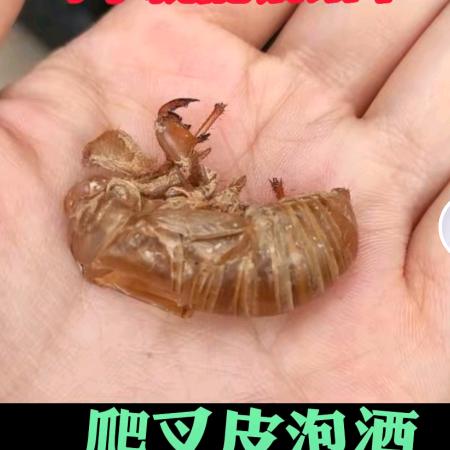 宇宙无敌