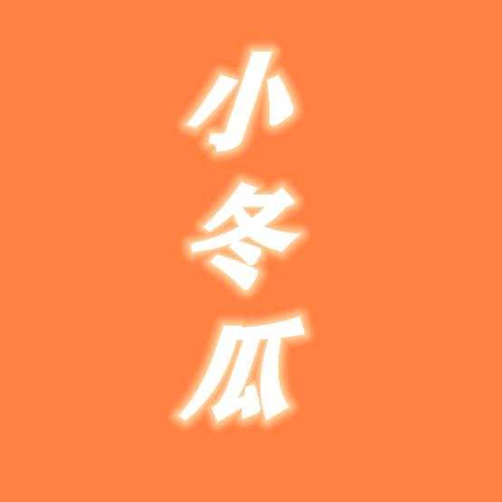 小冬瓜潮玩