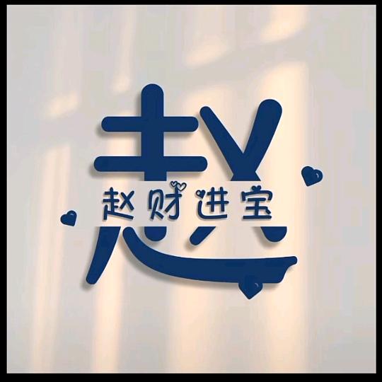 赵财进宝