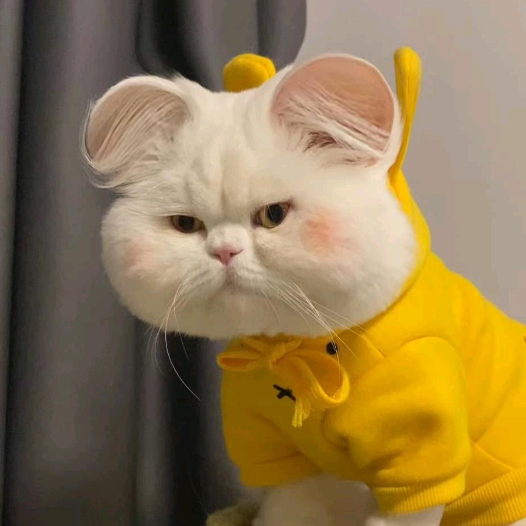 重生之我在宝鸡跑摩的。