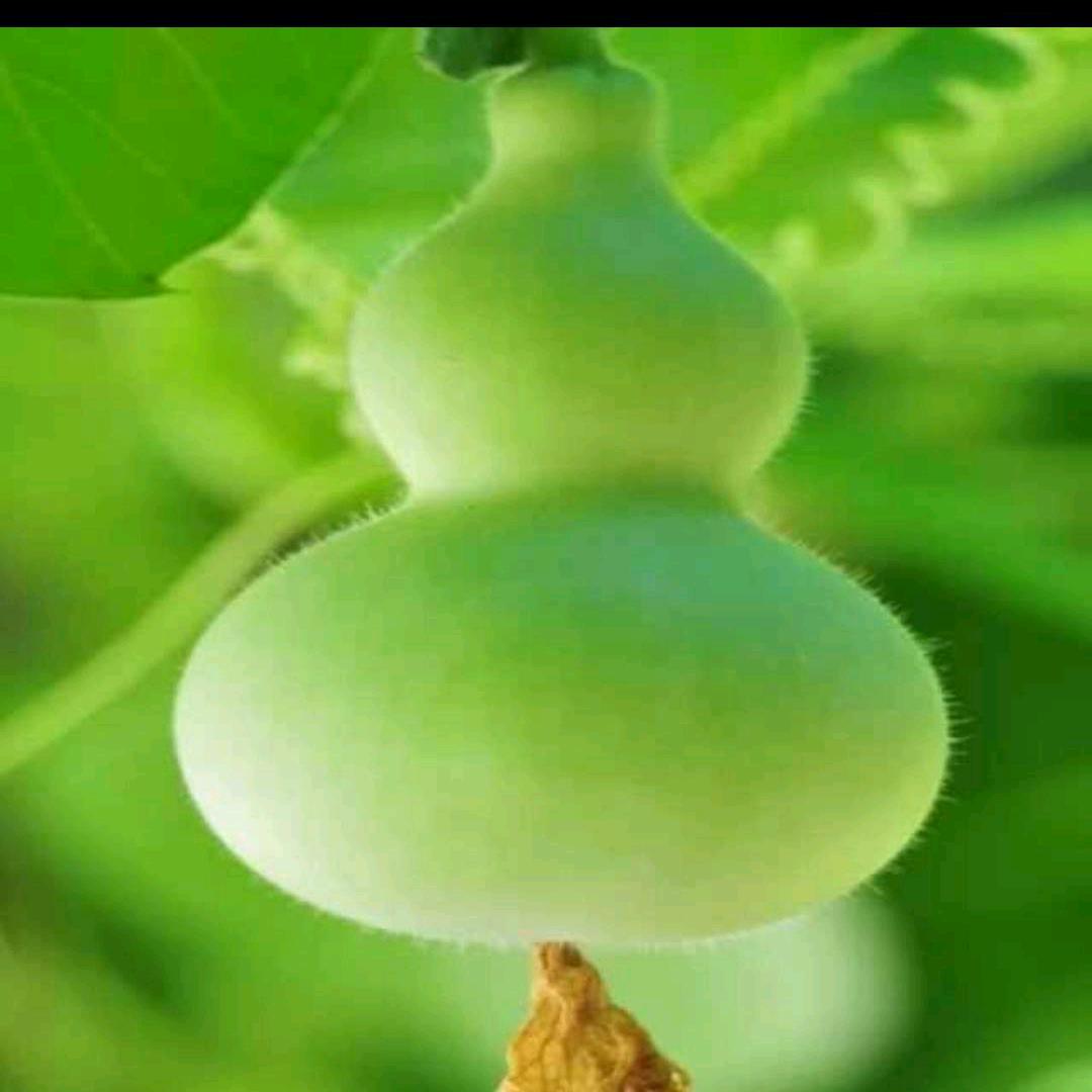 一命二运三风水