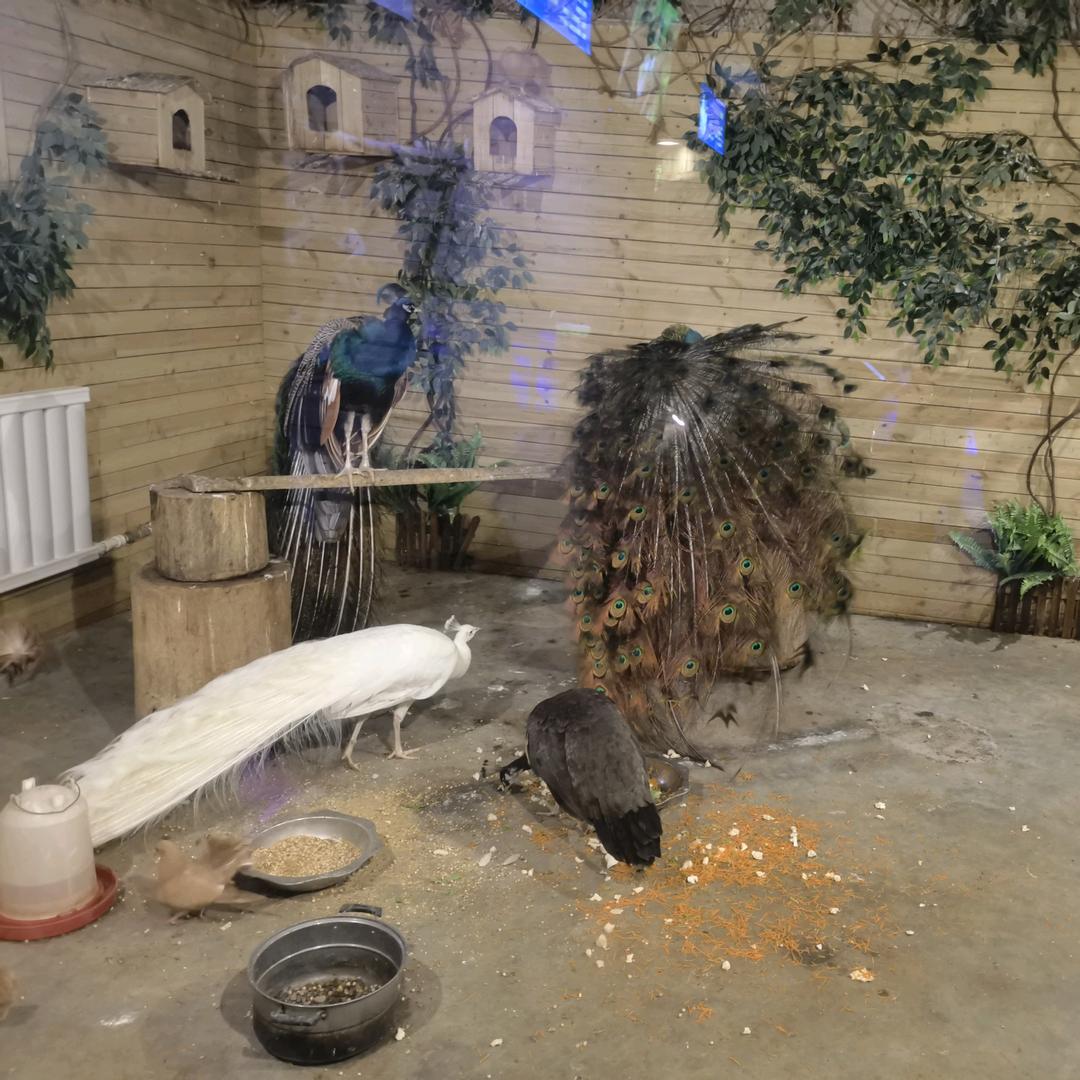 秋风细雨