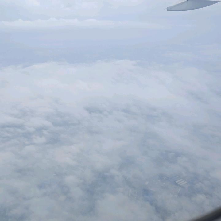 静冉