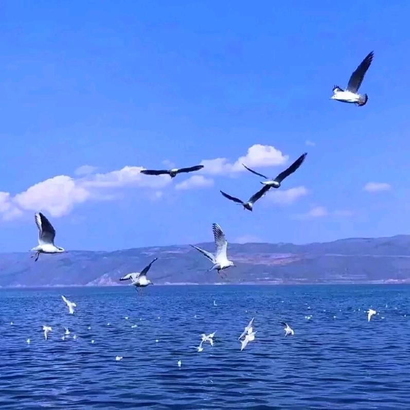 ～健康与美食～