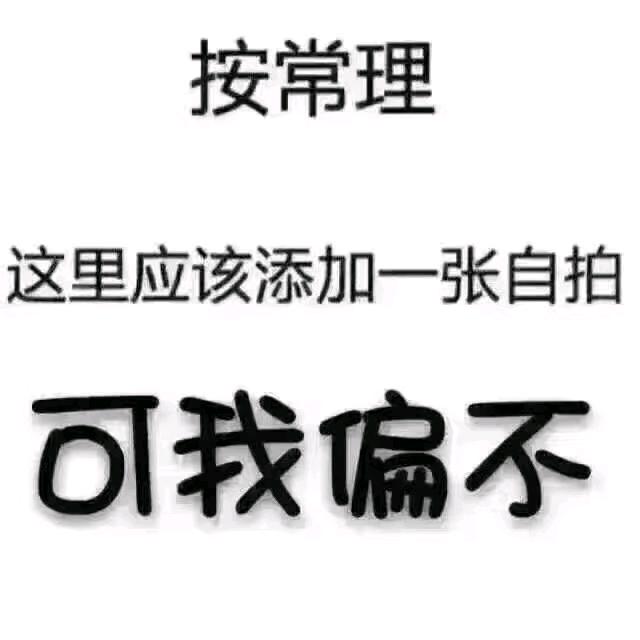 南城┐(‘～`；)┌