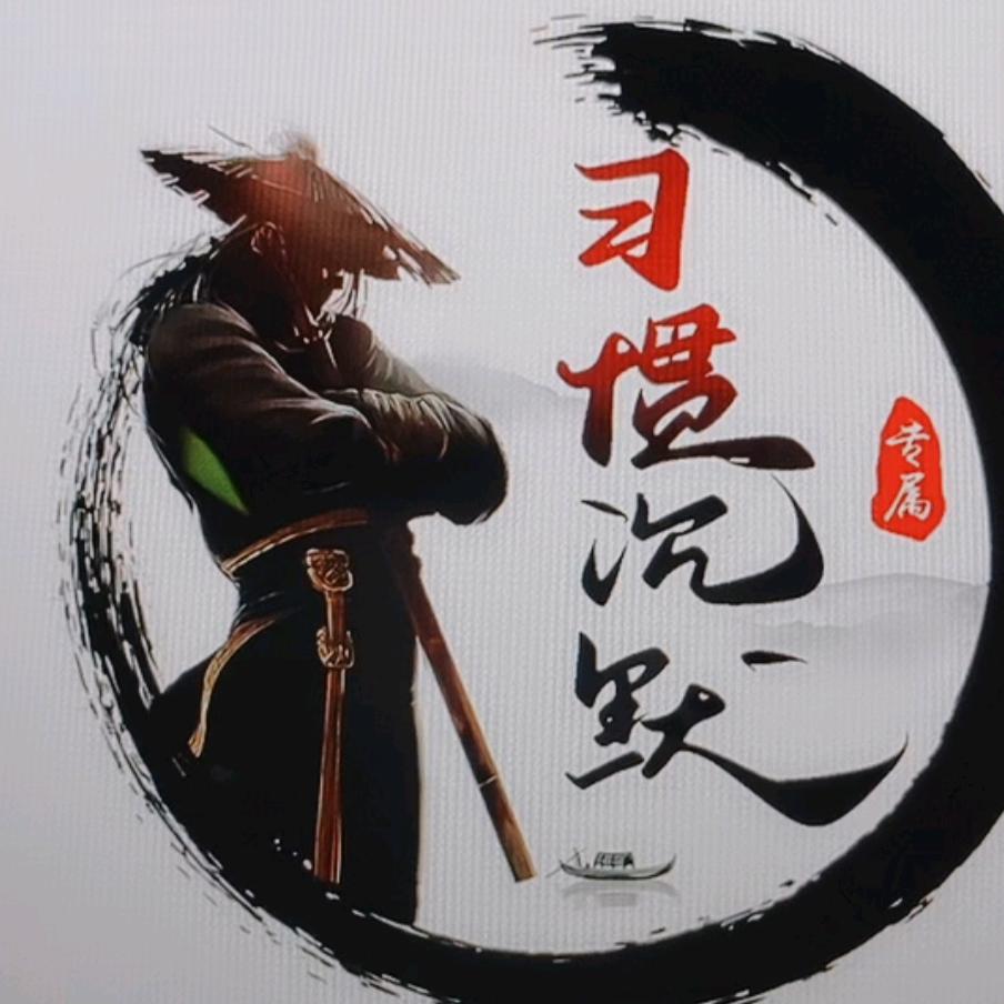 水电特派员
