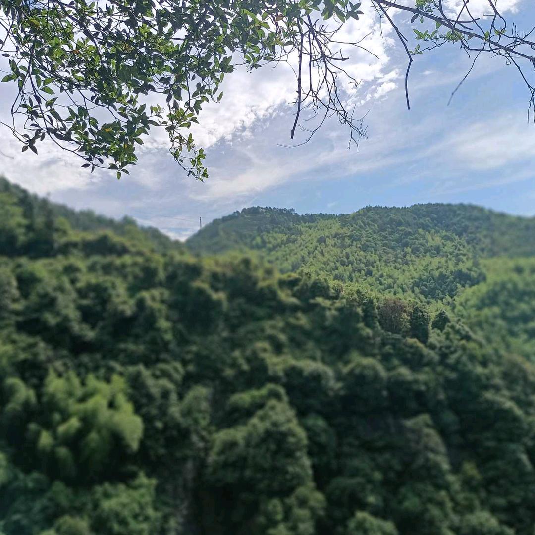 ✨💫任易💫✨