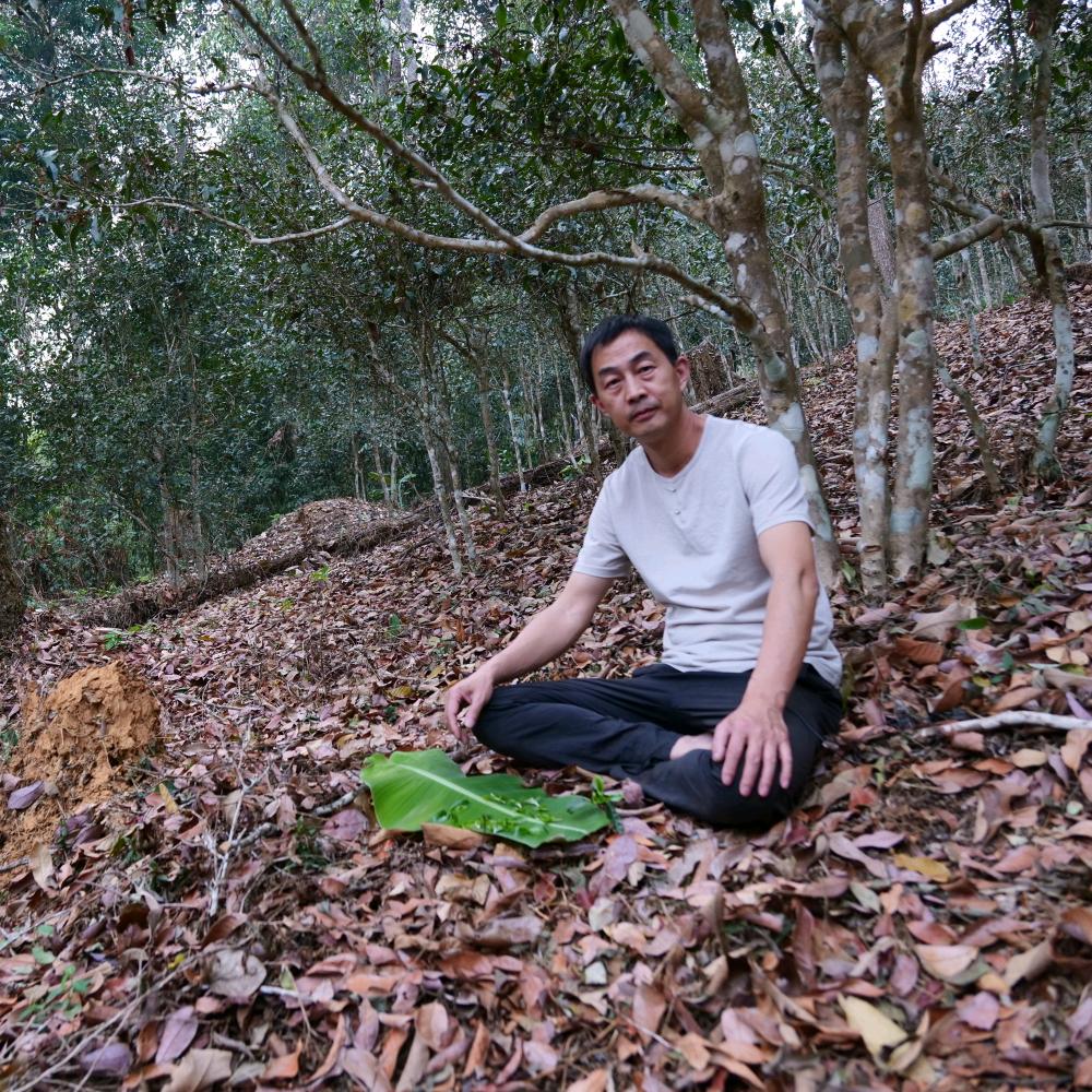 老邱聊茶