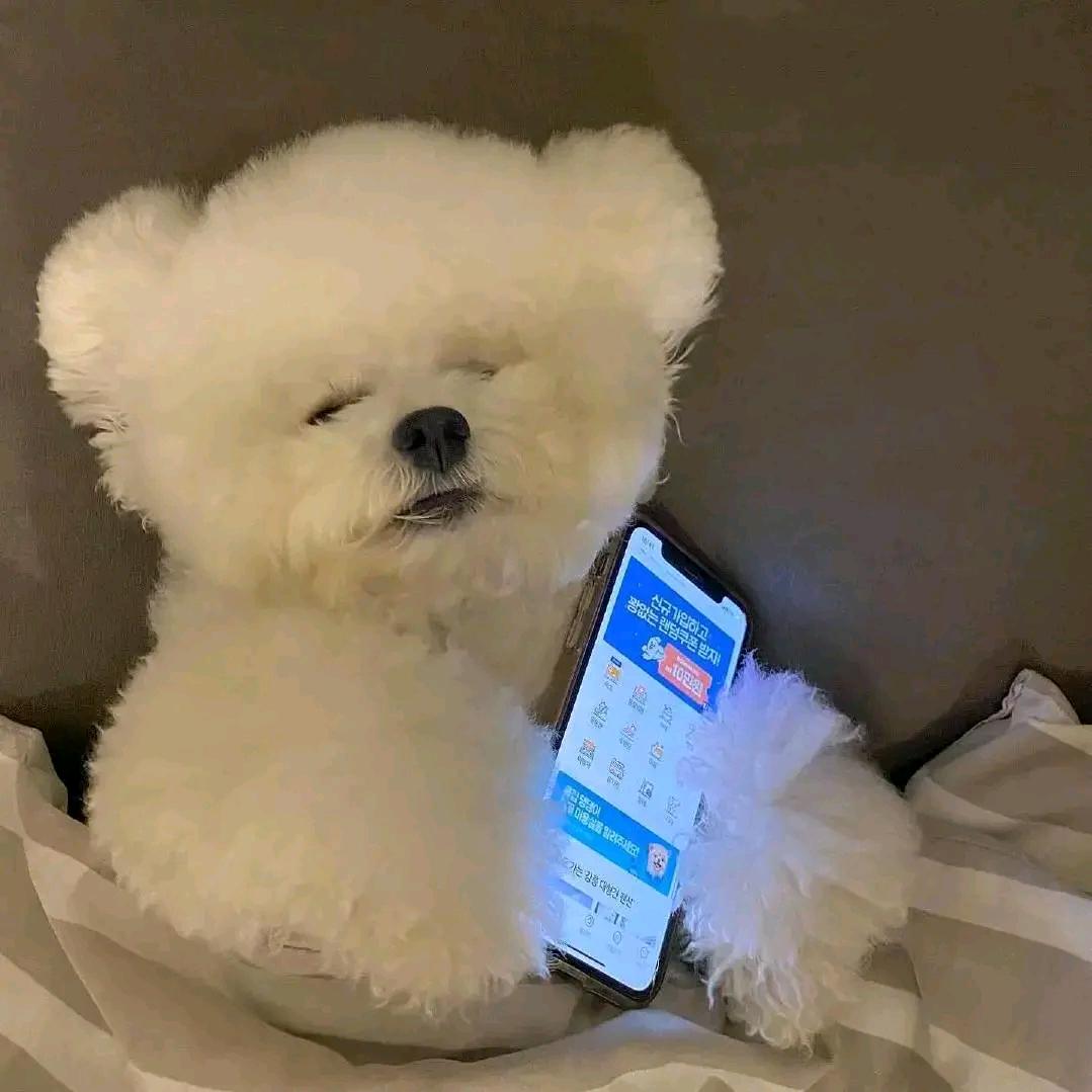 举个荔枝