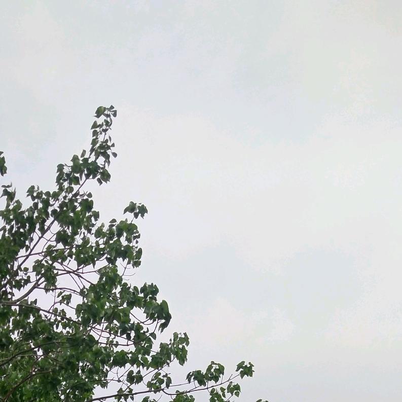 遗忘的记忆