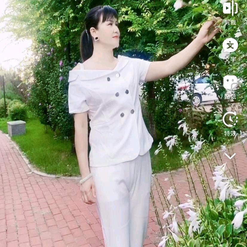 芸儿