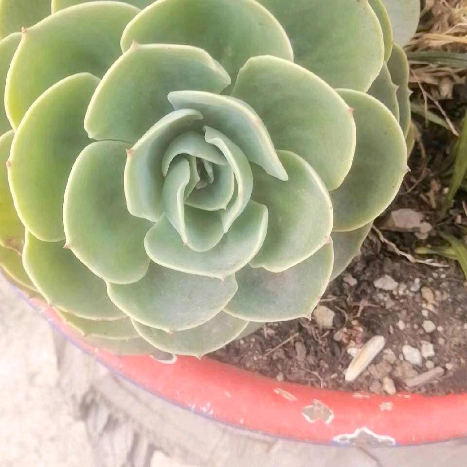醒悟