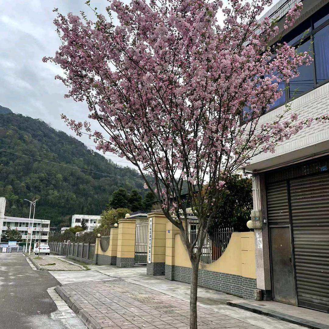 五常农运农业有限公司