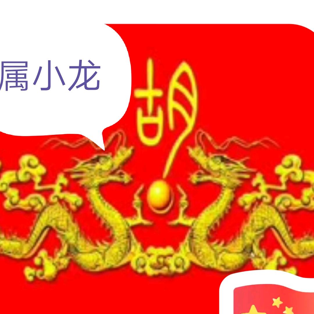 文冬阳光