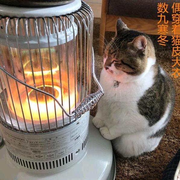 骑蜗牛狂奔追乌龟🐢🐌.. .