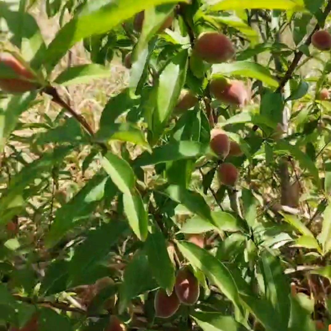 🌾💕人身🍒靠自己🚩