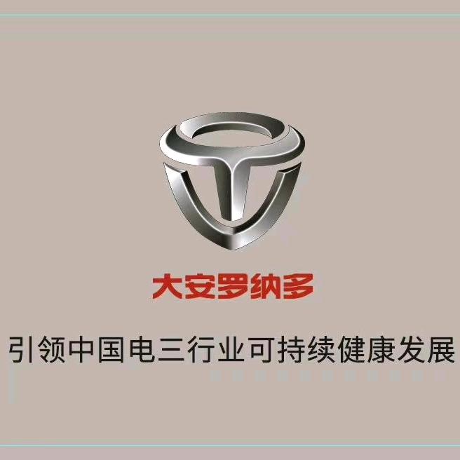 菏泽大安罗纳多电动车