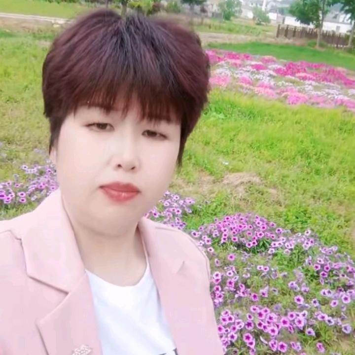 风中的树叶🌴