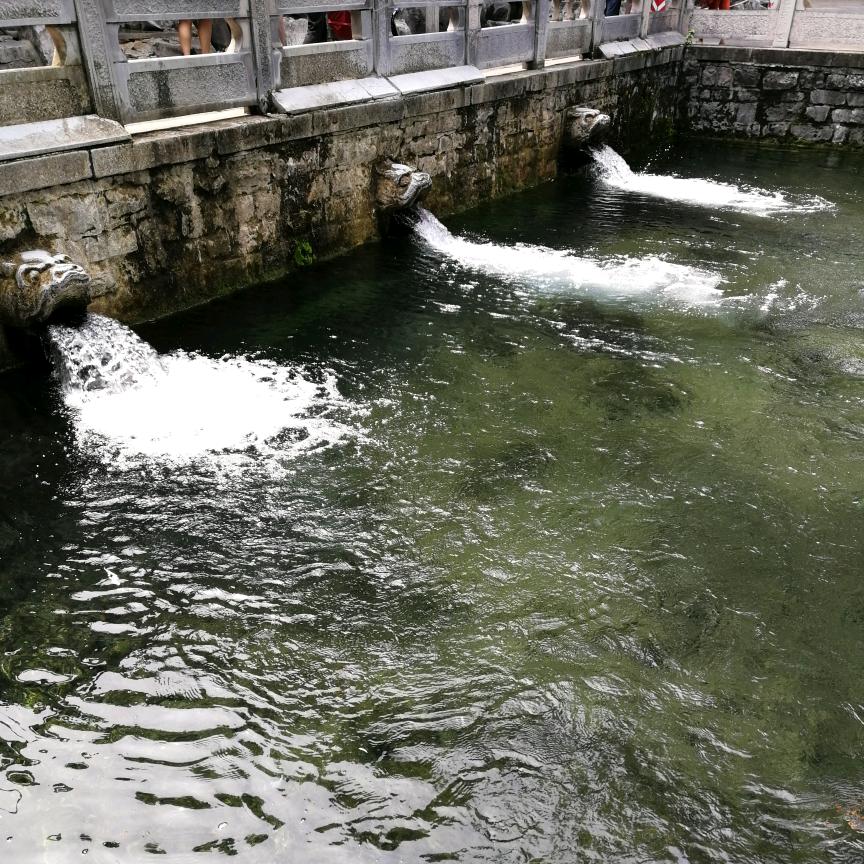 夜来晚上崩木根