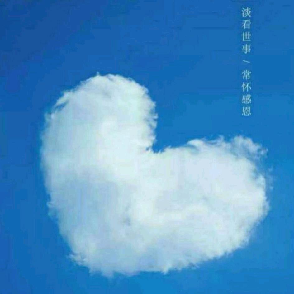 幸福的小猪