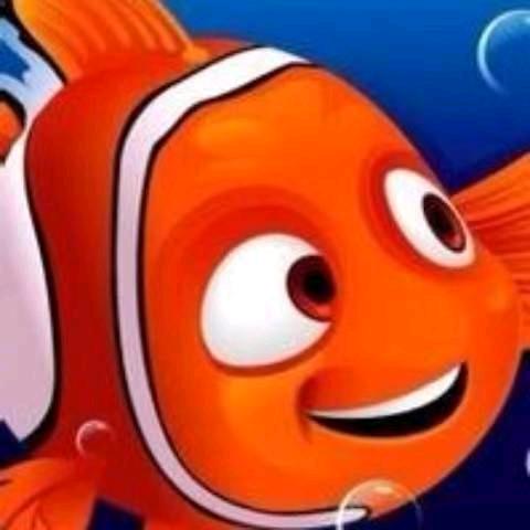 小鱼🐠