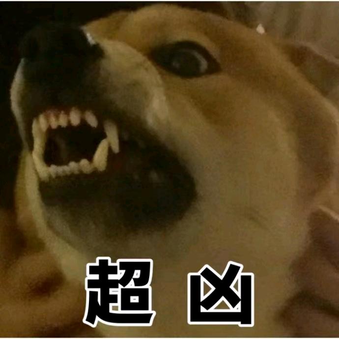 ℳঞ❦戒心❦ ໌້ᮨ꧔ꦿ᭄