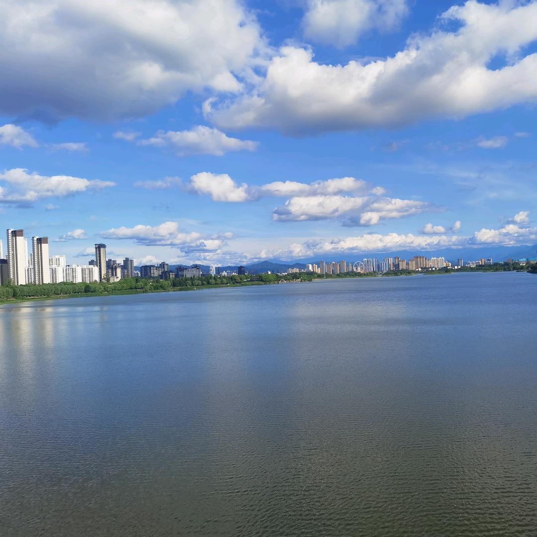 小海豹妈妈