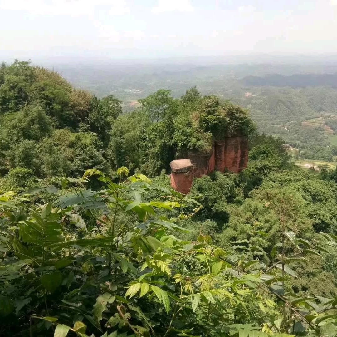 受伤的狼！！！（狼之1）