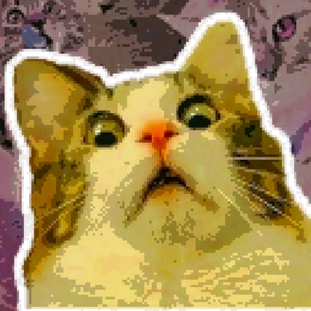 DullCat呆呆猫【抖音特效师】