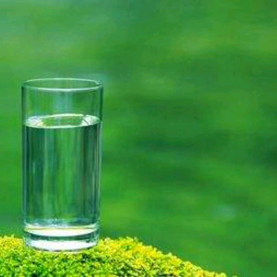 浪漫的冰吻