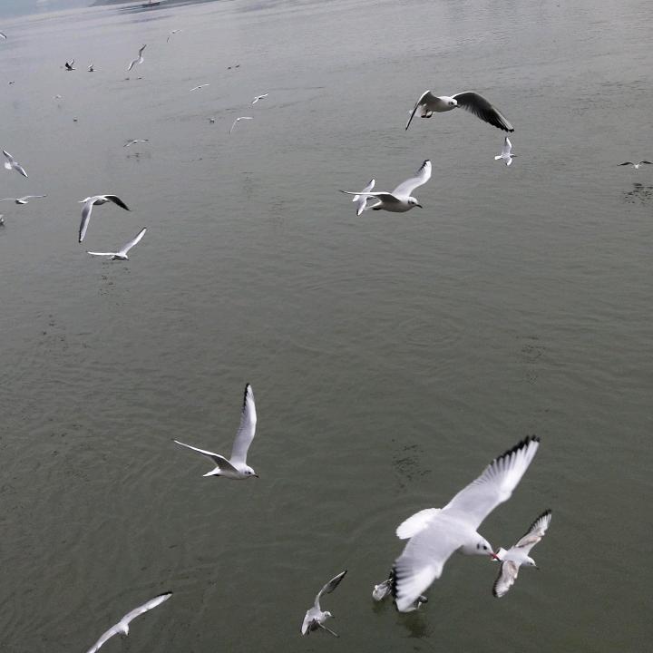 ꧁꫞꯭༼浮生ོꦿ꫞꧂