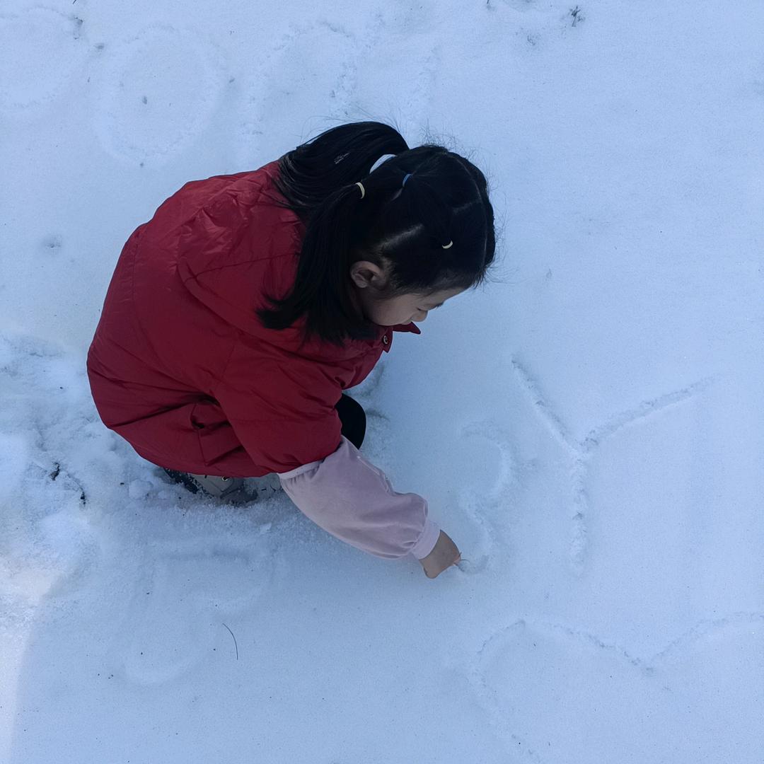 米淘淘
